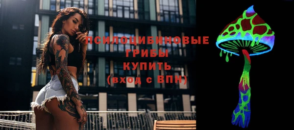 метадон Касимов