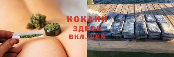 дживик Карпинск