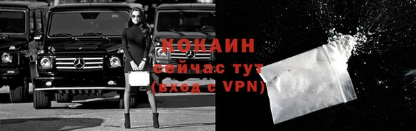 метадон Касимов