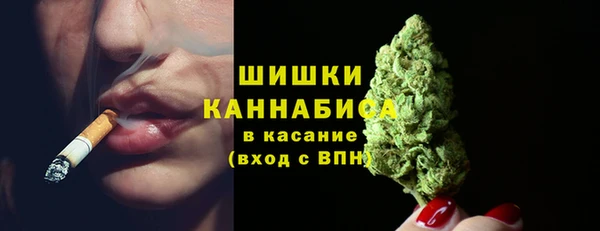 дживик Карпинск