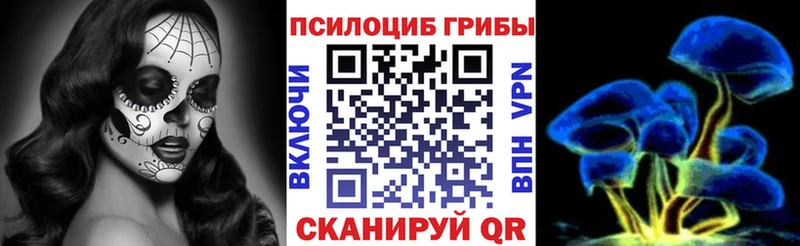 Купить закладки  Хилок  Псилоцибиновые грибы Psilocybe 
