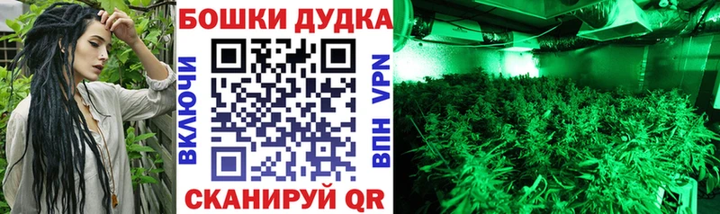 Купить где  Хилок  Бошки Шишки конопля 